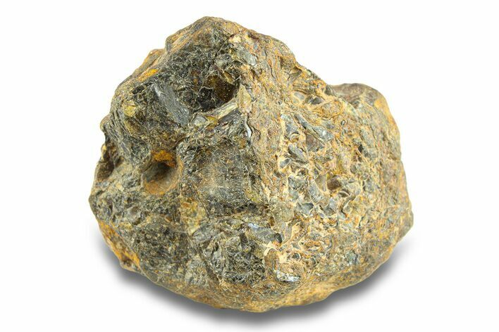 Pallasite Meteorite ( g) - NWA #281407